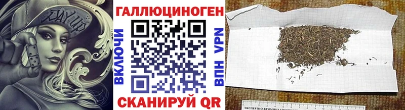 Купить  Свирск  Галлюциногенные грибы Psilocybe 